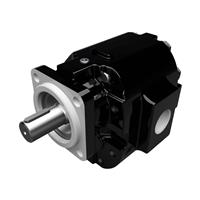 Cast Iron Motors - PGM076 Series